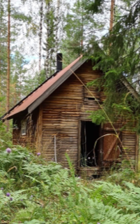Stenbjornskojan