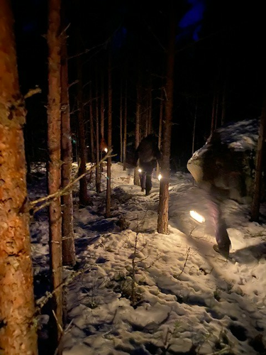 Morkervandring_2